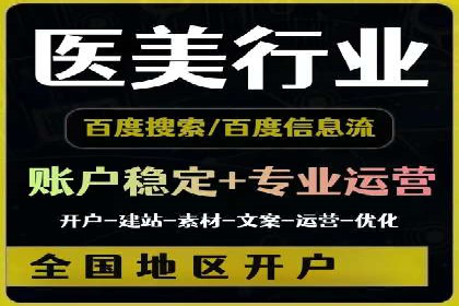 竞价广告策略案例分析